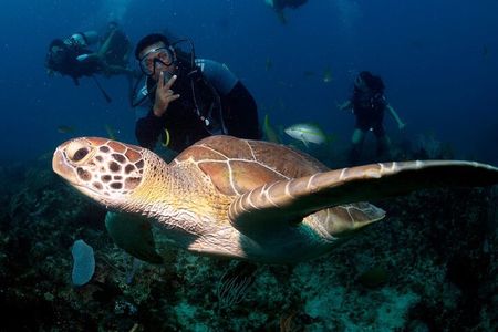 Learn to Scuba Dive in Punta Cana