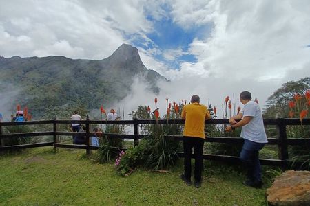 Tour Cocora Valley hummingbird circuit 