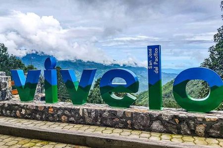 Amazing experience in the mountain of San Jose del Pacifico