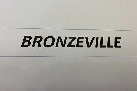 Chicago Tour - South Side 