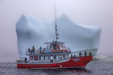 2 Hour Boat Tour in Twillingate