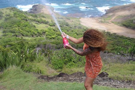 Saint Lucia Private North tour