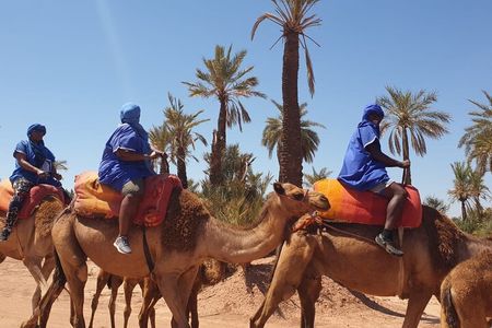 Adventure Quad Biks & Camel Ride 