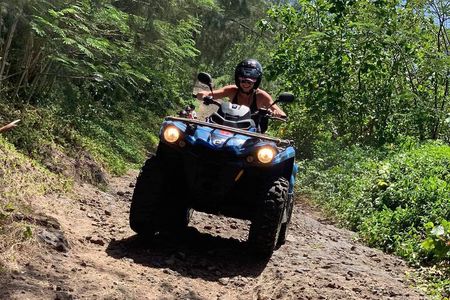 Bora Bora Atv-Quad Tours