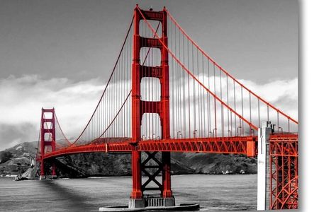 Muir Woods Express with Golden Gate Bridge Visit