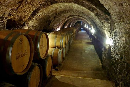 Ribera del Duero:4 Wineries, tasting & Lunch included from Madrid