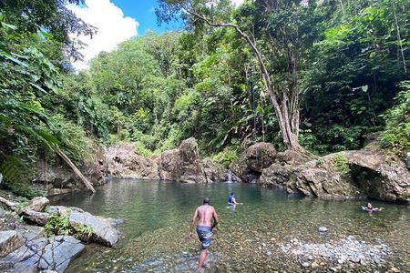 El Yunque Rainforest Morning River and Hike Adventure