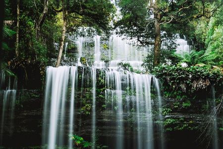 Mt Field National Park and Russell Falls from Hobart