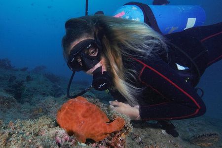 Diving tour in Isla del Caño for certified divers