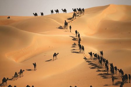 Full Day LIWA 4x4 Safari With Lunch Included From Abu Dhabi