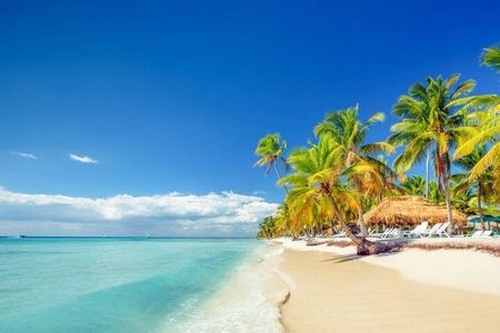 Saona Island Full-Day Excursion