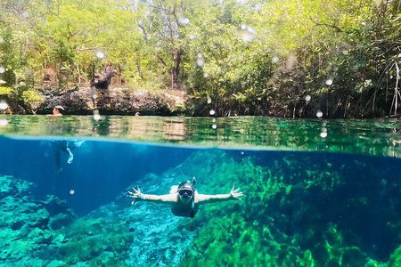 VIP Cenotes, ATVs & Ziplines Private Tour