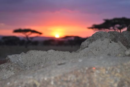 4 Day Safari- Tarangire,Ngorongoro and Serengeti