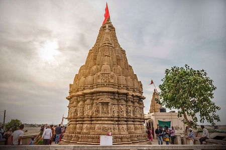 Glimpses of Wildlife & Footstep of Gandhi Gujarat Tour (10 Days)