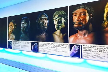 Cradle of humankind & maropeng tour/sterkfontein caves