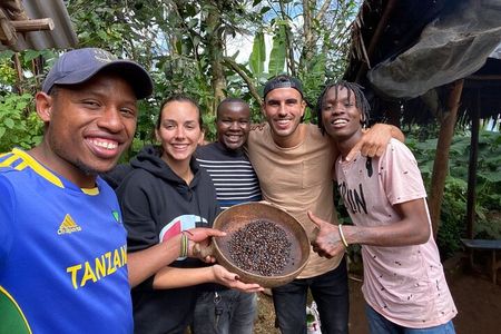 Private Materuni Waterfalls Hiking and Coffee Tour 