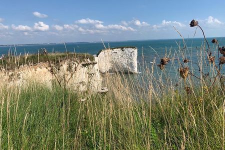 Guided E-Bike Day Trips Dorset