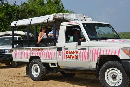 Discovery Safari