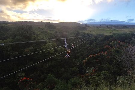 Big Island Zipline Adventure
