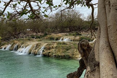  Half-Day Private Salalah East Tour