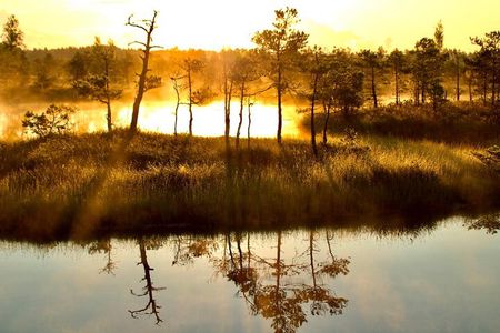 Sunrise at Kemeri National Park