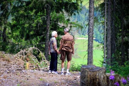 Family-Friendly Nature Hike around the Big Bear Valley