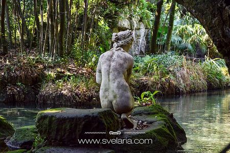 Guided tour of the Royal Palace of Caserta with an art expert