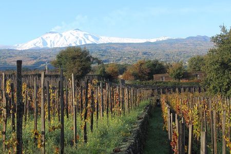 Etna Wine Tasting & Sicilian Lunch –Small Group Tour from Catania