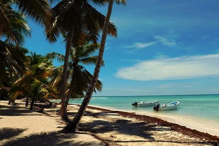 Full Day Tour to Saona Island by Catamaran from Cabeza de toro