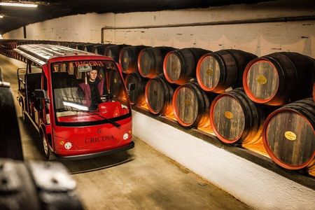 Best of Moldova: Cricova Winery & Old Orhei Tour including Curchi Monastery