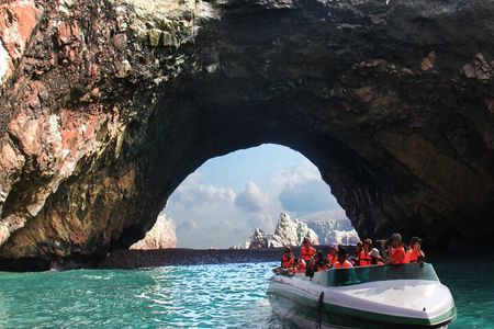 Morning: Ballestas Island tour from Paracas with entrances