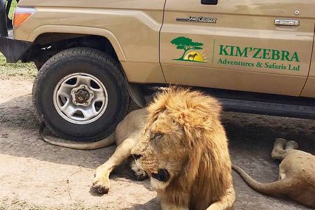 4 Days Tanzania Authentic Camping | Lodge Safari