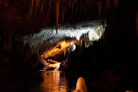 Harrison's Cave Tour in Barbados