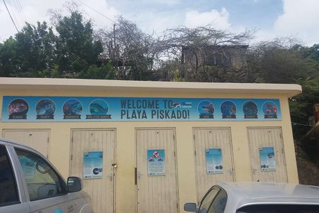 Western snorkel & swim Trip 