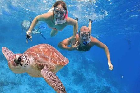 Private Day In Sharm El Sheikh From Cairo By Flight