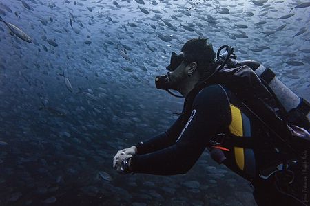 Scuba Diving