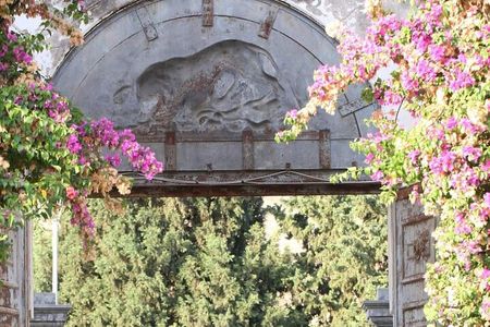 Wine Tour in the historic Baglio Florio Adamo with Lunch