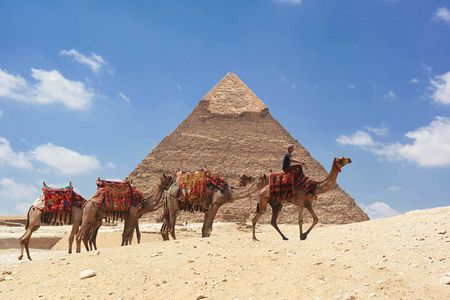 Private Visit Giza Pyramids, Egyptian Museum and Coptic Cairo