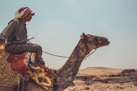 Private 2 Hours Camel Ride or Horse Around The Pyramids