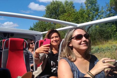 Open Top Van!! Half Day in Chianti with Wine Tasting