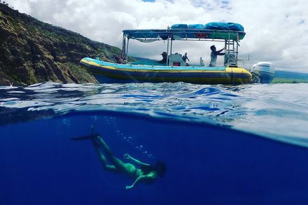 Small Group Snorkeling Expedition South Kona