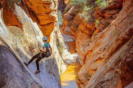 East Zion: Powell's Way Full-Day Canyoneering