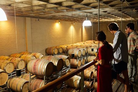 Best of Cape Town Cape Point and Wineries Combined Private Tour