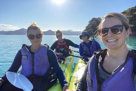 Full-Day Guided Sea Kayak Trip from Picton