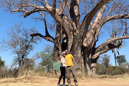 3 Day Matopos, Hwange National Park, Victoria Falls Tour
