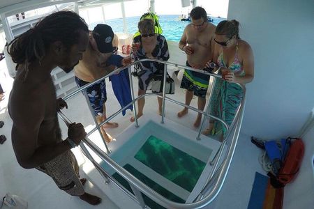 Barbados Shore Excursion: Carlisle Bay Turtle & Shipwreck 