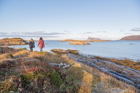 Arctic Roadtrip: fjords with scenic picnic | Private