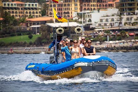 SEA SAFARI Dolphins, Whales, 3h speedboat DISCOVERY-TOUR