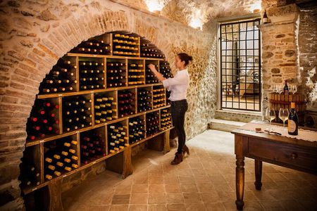 Organic Family Winery Experience in Liguria