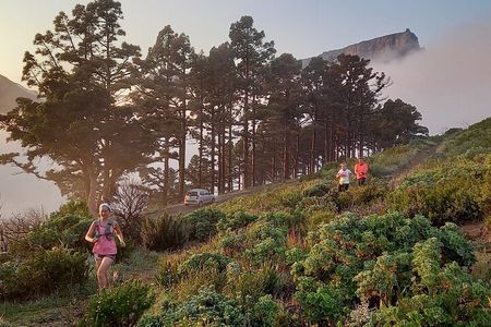 Trail running Lion's Head to Signal Hill Morning Run